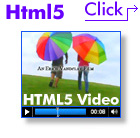 Flash Mini-Video Addon
