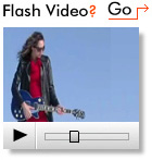 Flash Video Player