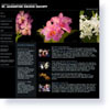 Allwebco Sample Website